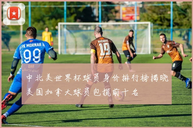 中北美世界杯球员身价排行榜揭晓美国加拿大球员包揽前十名